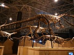 -世界恐龙谷景区