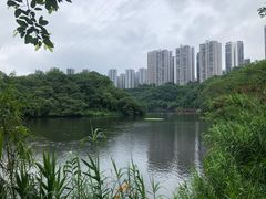 -重庆彩云湖湿地公园