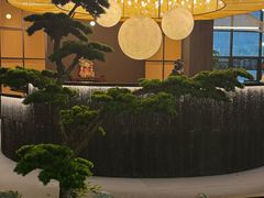 -椿杨樘·明康泡浴养生馆(重庆店)