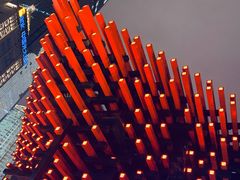 -颜氏双江清水鱼一养身火锅(磁器口店)