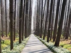 -上海怡沁园度假酒店