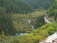 -九寨沟-树正沟