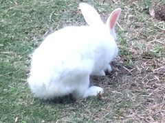 iphone_upload_pic-东部华侨城