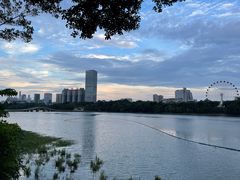 -南宁南湖公园