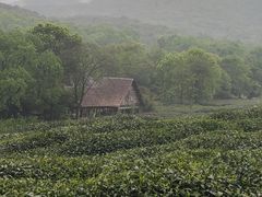 -茅家埠