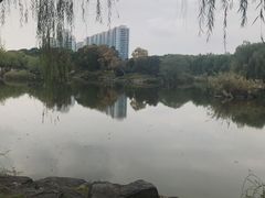 -日出青木·杭帮菜名店