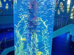 -广州海洋馆