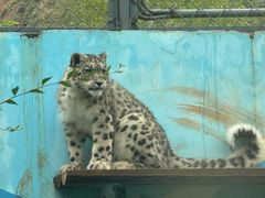 -青藏高原野生动物园