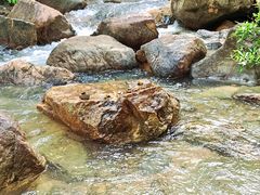 -广州白江湖森林公园