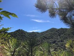 -玉渡山自然风景区