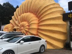 -梦幻奥陶纪景区