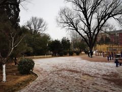 -康庄公园