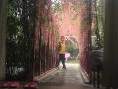 -宁波杭州湾海底温泉