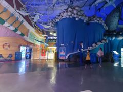 -烟台海昌鲸鲨海洋公园