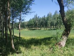 -东郊湿地公园