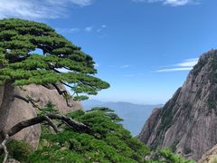 -黄山风景区