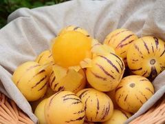 -五里多农博广场