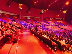 -珠海横琴长隆《卡卡虎奇遇记》