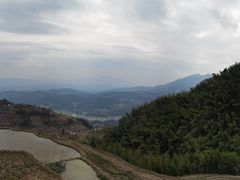 -紫鹊界梯田景区