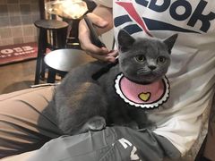 -1013 PET SHOP 宠物商店(近铁城市广场店)
