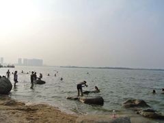 瑶湖郊野森林公园-瑶湖郊野森林公园