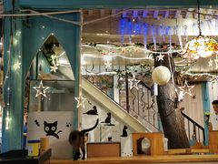 大堂-猫小院猫主题咖啡厅(北锣店)