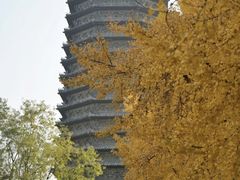 -玲珑塔公园