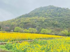 -八卦田遗址公园