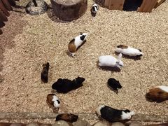 -绿色星球动物主题公园