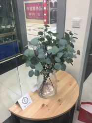 -Wisezone唯点穿耳打耳洞专业国际连锁品牌