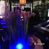 绿茶餐厅郑州打卡！