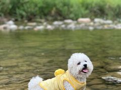 -白河湾生态旅游一条川