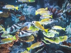 -福州罗源湾海洋世界旅游区