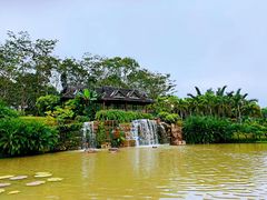 -中国科学院西双版纳热带植物园