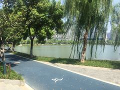 -西北湖绿化广场