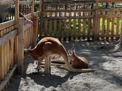 -水上乐园·欢乐世界