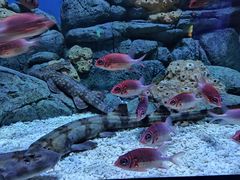 -成都浩海立方海洋公园