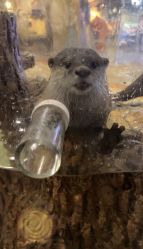 点击看大图 -Zoolung Zoolung动物主题公园(海信广场店)