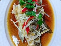 -天鹅到家·保姆月嫂育儿嫂(浦东店)