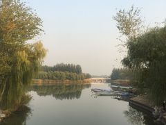 -大兴滨河森林公园