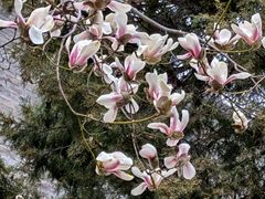 -东华门大街小区