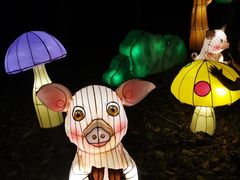 -昆山城市生态森林公园