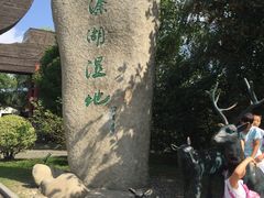 -溱湖国家湿地公园