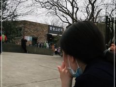 -紫金山山顶公园