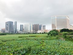 -龙环葡韵住宅式博物馆