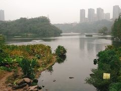 -重庆彩云湖湿地公园