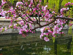 -海棠花溪(元大都城垣遗址公园)