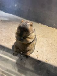 -酷嗒动物文化乐园(cutezoo西溪乐天城店)