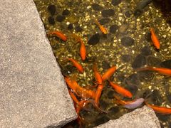 -邈墨茶馆(凤起路店)