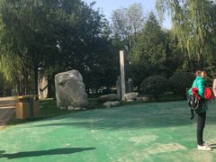 -唐城墙遗址公园